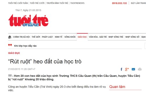 Chuyên trang Giáo dục Báo Tuổi trẻ:  Rút ruột” heo đất của học trò 