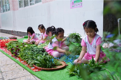 Chuyên đề  xây dựng môi trường thiên nhiên trong tổ chức các hoạt động và tăng cường vận động cho trẻ  tại MG Việt Anh