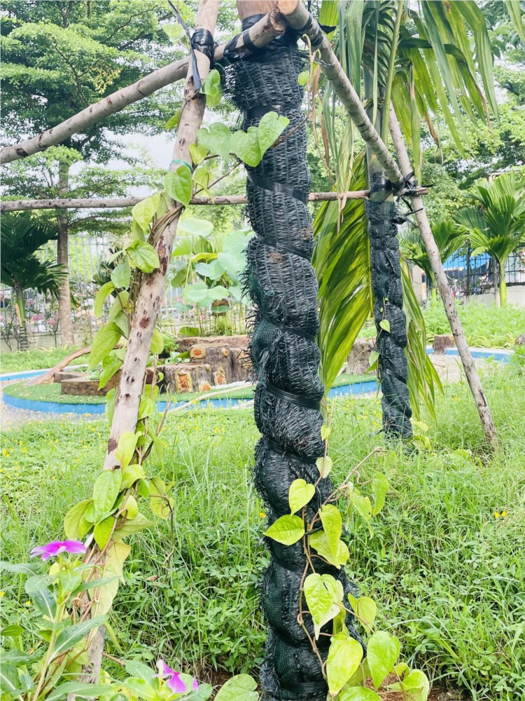 Nhấn vào ảnh để phóng to