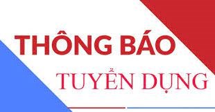 Các văn bản,chỉ tiêu , mẫu đăng ký của tuyển dụng viên chức ngành Giáo dục và Đào tạo Huyện Hóc môn năm 2023( xem các tập tin đính kèm)
