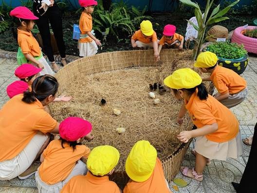 Nhấn vào ảnh để phóng to