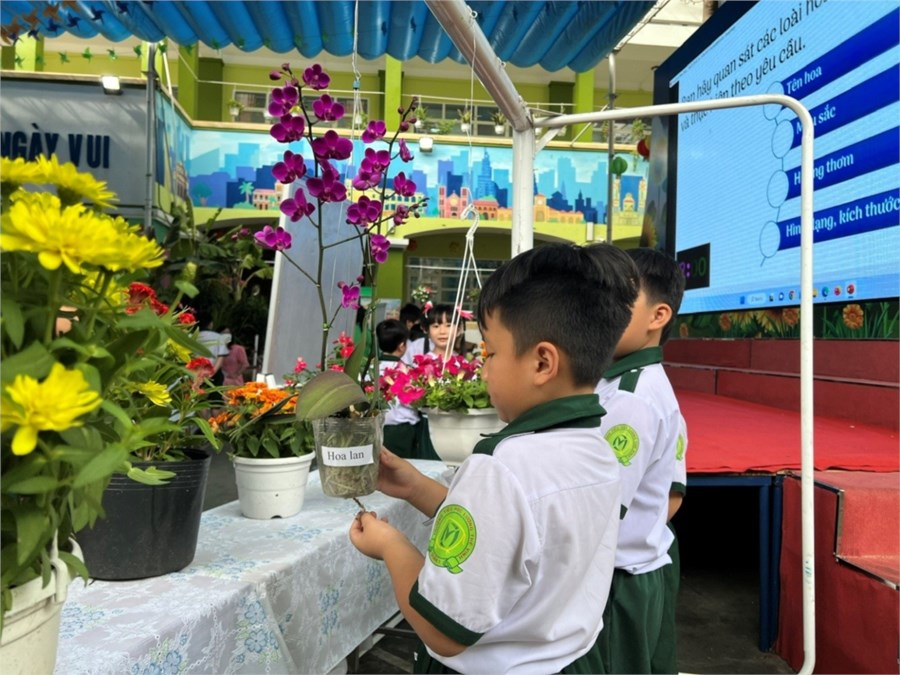 Nhấn vào ảnh để phóng to