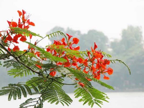 Tiếp tục thực hiện công tác phòng, chống dịch COVID-19 tại các đơn vị trường học trên địa bàn quận.