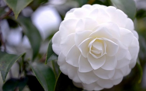 Kính gửi Qúy Thầy cô thư mời tham gia đoàn đánh giá ngoài đợt 89. Trân trọng!