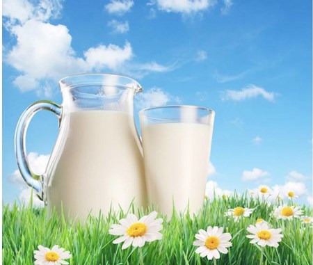 Hướng dẫn triển khai chương trình sữa học đường trên địa bàn Quận 11 trong tháng 11, 12 học kỳ I, năm học 2020-2021