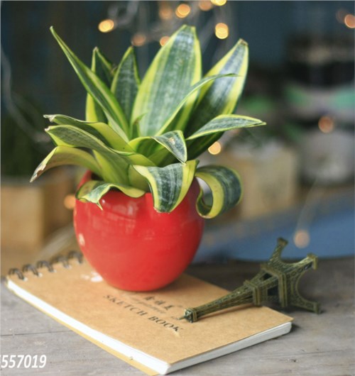 Về việc kê khai   Phiếu bổ sung lý lịch cán bộ, công chức, viên chức  Năm 2018 và năm 2019.
