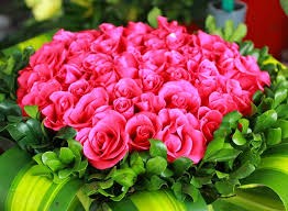 Kế hoạch Tổ chức Lễ kỷ niệm 40 năm ngày Nhà giáo Việt Nam (20/11/1982 - 20/11/2022) và vinh danh  Những đóa hồng thầm lặng  của ngành giáo dục