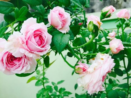 Công văn Sở Giáo dục và Đào tạo Về việc xét tặng Kỷ niệm chương “Vì sự nghiệp Giáo dục” Năm 2023.