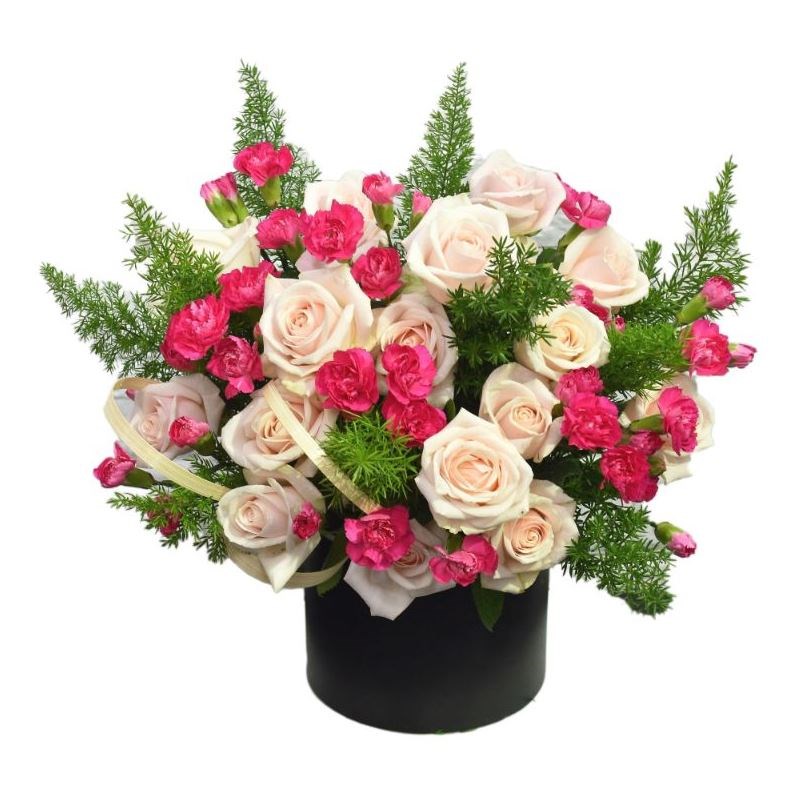 Nhấn vào ảnh để phóng to