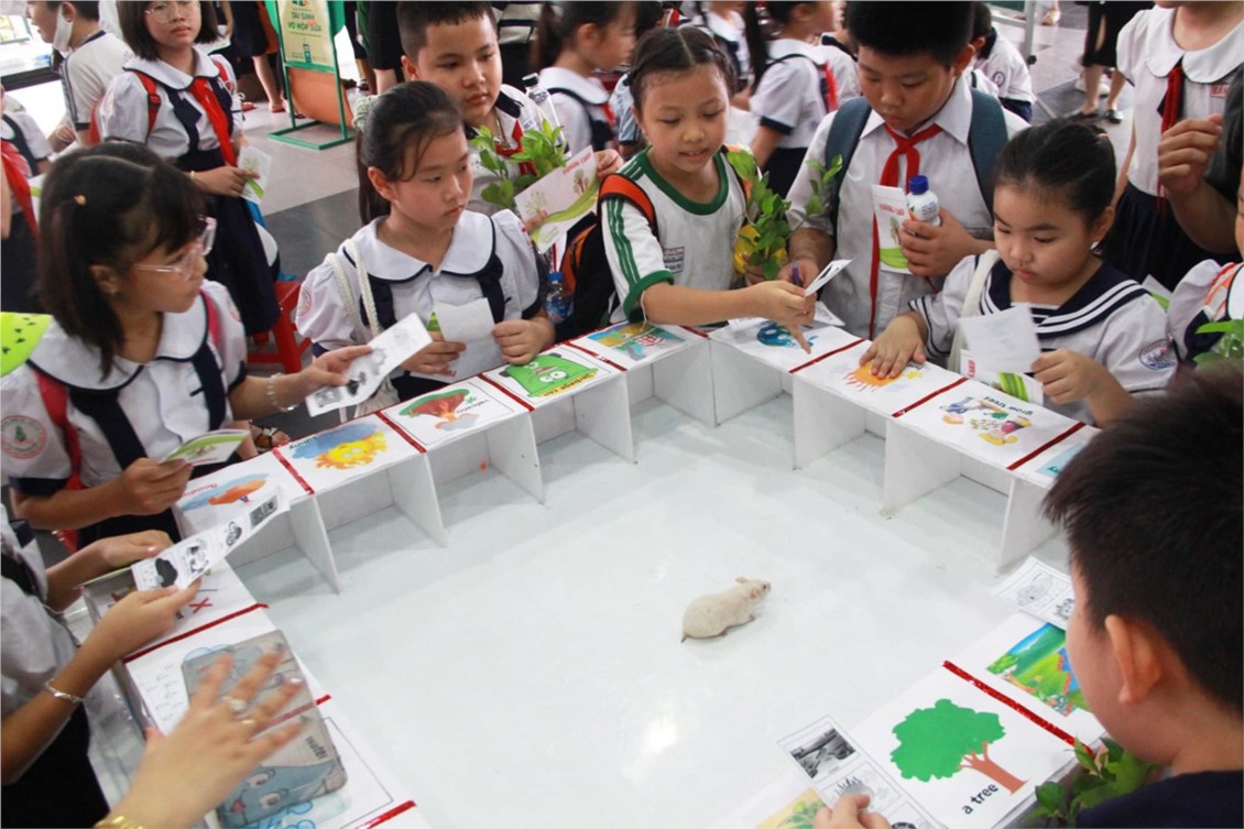 Nhấn vào ảnh để phóng to