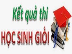 Danh sách học sinh đạt giải kỳ thi Học sinh giỏi lớp 9 năm học 2016 - 2017