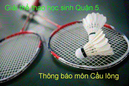 Lịch thi đấu giải cầu lông thể thao học sinh quận 5 năm học 2017 - 2018.
