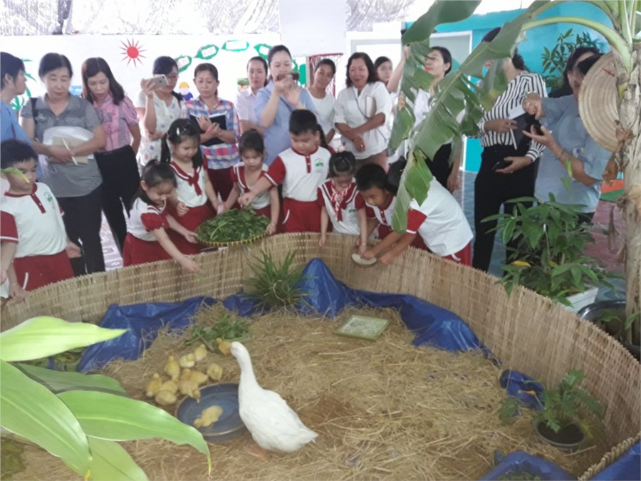 Nhấn vào ảnh để phóng to
