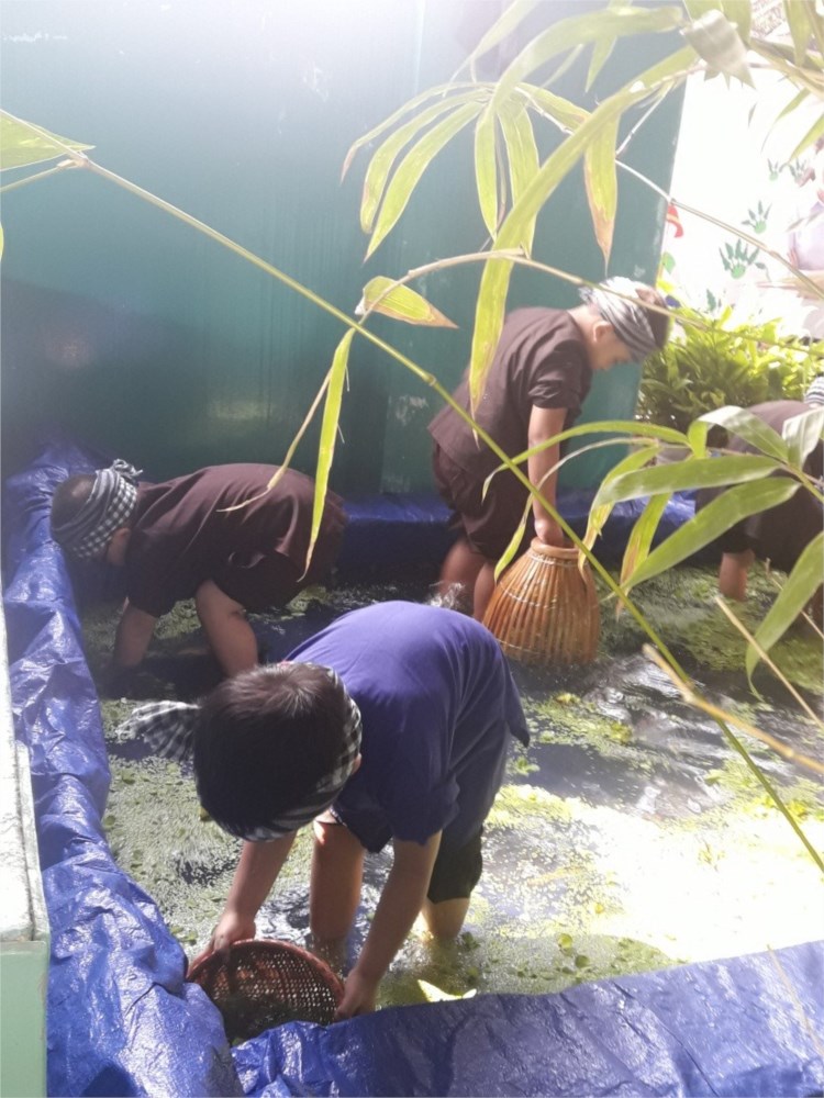 Nhấn vào ảnh để phóng to