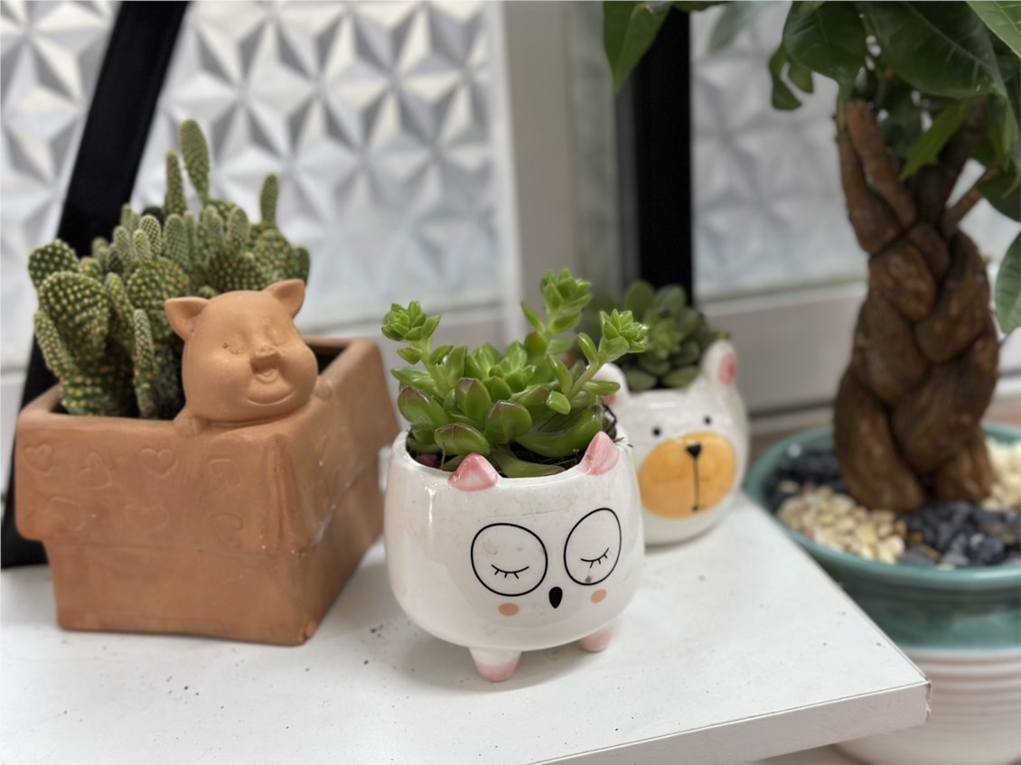 Nhấn vào ảnh để phóng to