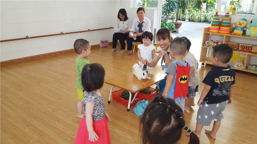 Nhấn vào ảnh để phóng to