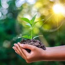 Về việc lập danh sách cán bộ quản lý, giáo viên, nhân viên bệnh nan y hiểm nghèo.