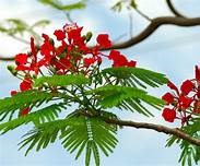 Về chuyển công tác đối với viên chức tại các đơn vị trường học công lập thuộc Quận năm học 2024-2025