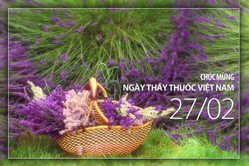 Kế hoạch sơ kết công tác Y tế trường học Học kỳ I, năm học 2024 - 2025 và triển khai các hoạt động kỷ niệm 70 năm ngày Thầy thuốc Việt Nam (27/02/1955 - 27/02/2025)