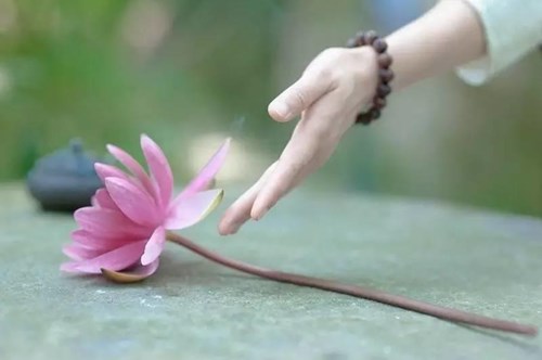 V/v tổ chức hoạt động kỷ niệm “Ngày Công tác xã hội Việt Nam” lần thứ 9  năm 2025